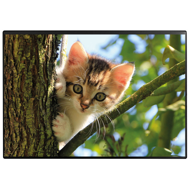 Desk pad Poster (Cat) 50 x 34 cm