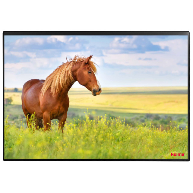 Desk pad Poster (Horse) 50 x 34 cm