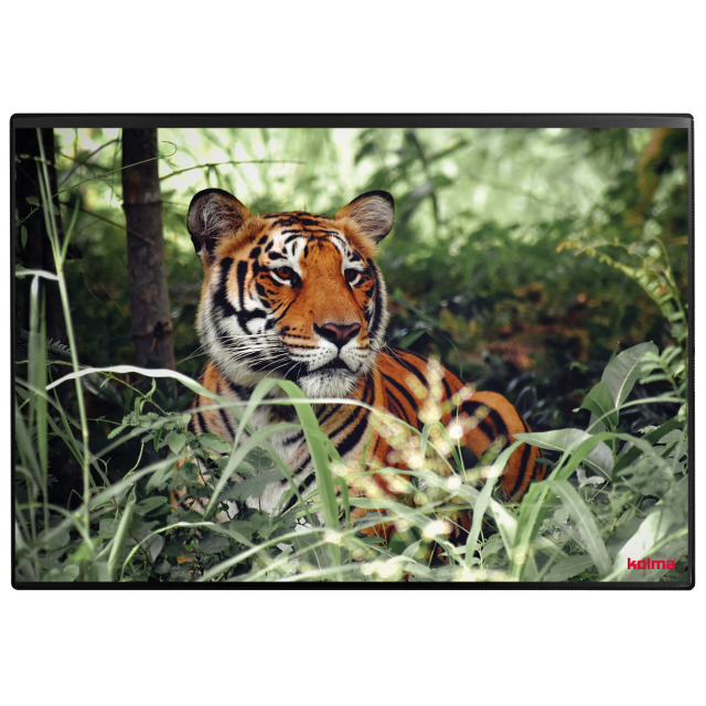 Sous-mains Poster (Tigre) 50 x 34 cm
